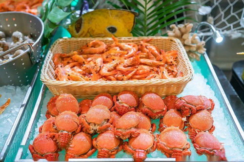 盛夏光年主题海鲜美食节 豪横仅168元，畅享200+高品质料理