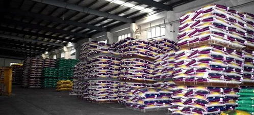 从田间到世界 中国牛蛙产业如何借科技与标准登上国际舞台